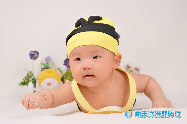 做泰國試管價格